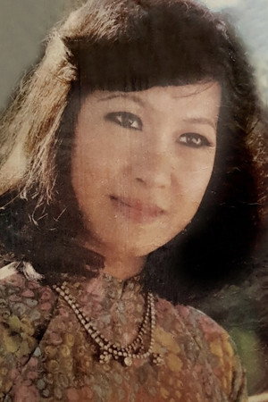 Vi Vi